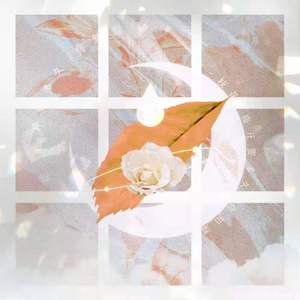 一枝花盛开要多久你知道吗（翻自 西村由紀江）