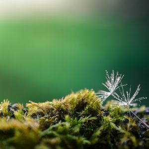 钢琴音符与白噪音的入眠之约