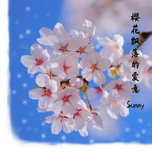 樱花飘落的爱意(2020remake)