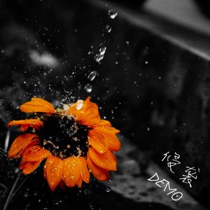 心甘情愿（demo）