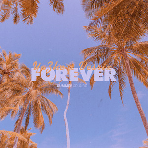 亚哲大大-Forever（风以菀Windwan remix）