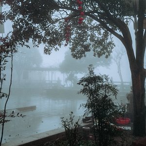 半山听雨（古琴独奏）