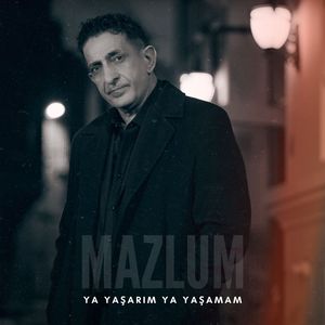 Ya Yaşarım Ya Yaşamam
