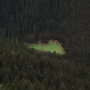 这条小鱼在乎/二胡