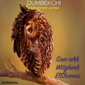 Saa-ahh Witgheeb ElShamis (Extended Mix)