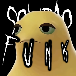 SOLIDAO FUNK