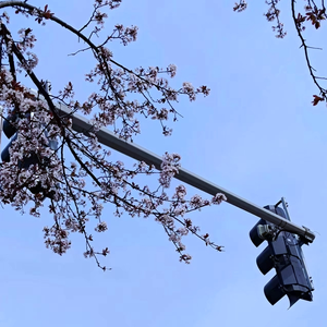 揺れる影が重なる（feat.Hayden）