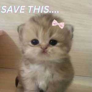 Even The Odds (nightcore)