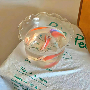 你要开始新的生活.mp3