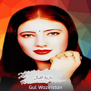 Gul Waziristan