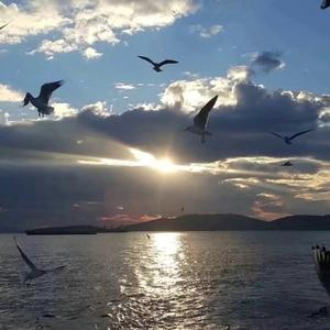 我己不是当初的我