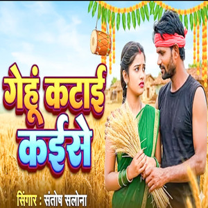 Gehu Katai Kaise