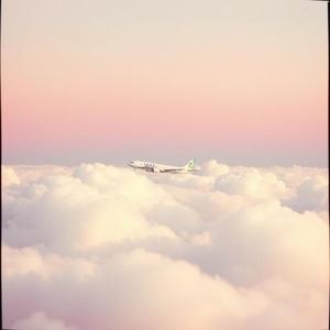 El labio antedispuesto