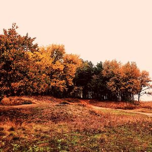 抚慰的在家休息回忆