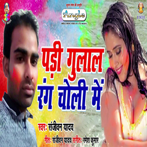 Padi Gulal Rang Choli Me