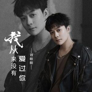 我从来没有爱过你