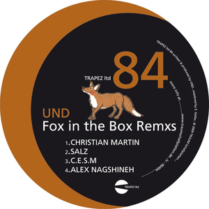 Fox in the Box (C.E.S.M Remix)
