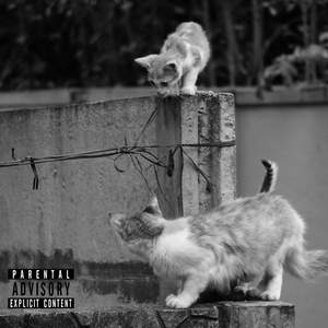 KITICAT