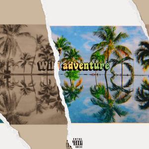 Wild Adventure (feat. Robb Badass) (Remix) (Remix)