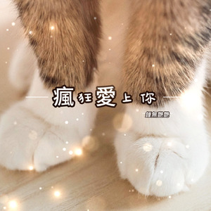 瘋狂愛上你