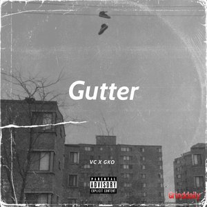 Gutter