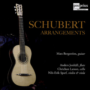 Guitar Quartet, D. 96 (after W. Matiegka's Notturno, Op. 21):II. Menuetto