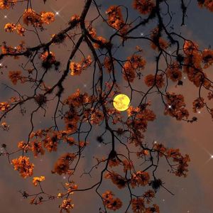 一切都会好起来的