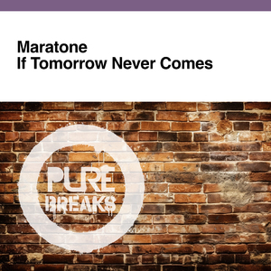 If Tomorrow Never Comes (Extended Mix)