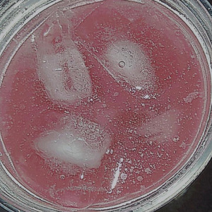 Coração vazio: version 2