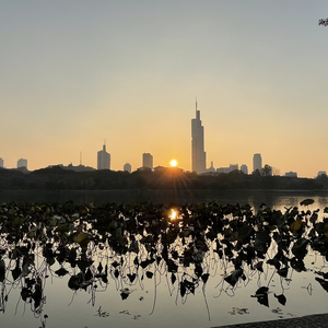 今天想给你写首歌