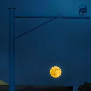 左转灯（1000 Times＋1）