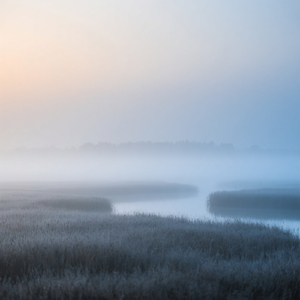 one more Sunday again