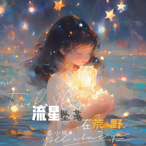 流星坠落在荒野(伴奏)