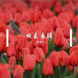 与世无争