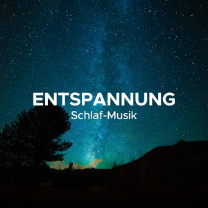 Schlaflosigkeit