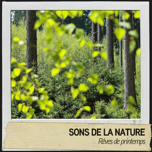 banlieue et parcs la nuit