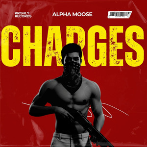 Charges Freestyle
