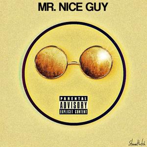 Mr. Nice Guy