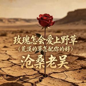 玫瑰怎会爱上野草（荒漠的草怎配你的好）