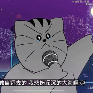 该死的泪（女生版）