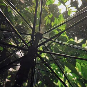 单身女子的阳光节奏