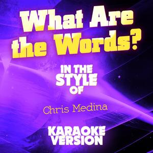 What Are the Words? (In the Style of Chris Medina) [Karaoke Version]