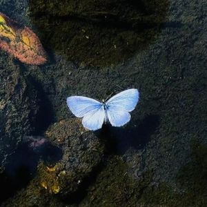 云朵-RJ Pasin×Juice WRLD TYPE BEAT