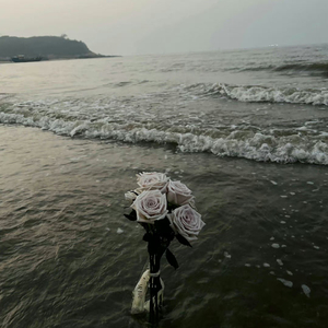 日が落ちるまで