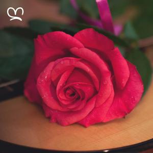 Feliz (feat. SWOB, Kitoko Sound, Din BEATS & Arándano)