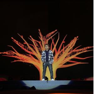 被风吹散的情话