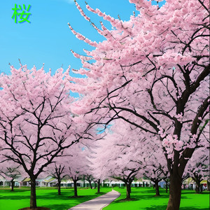 桜は咲いた世界観