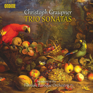 Trio Sonata in E Major, GWV 208:II. Allegro