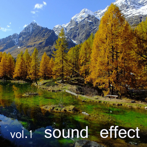 도심속에서 들려오는 새소리