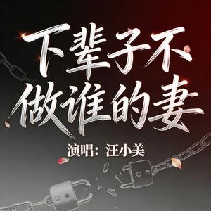 下辈子不做谁的妻